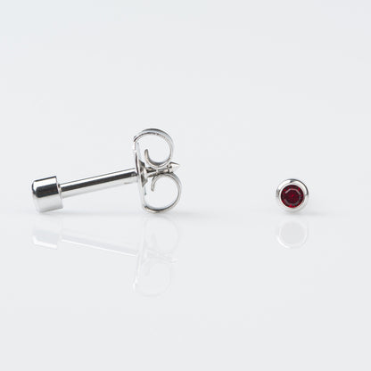 STUDEX Plus Stainless Steel Bezel – January Garnet - Dozen Pack