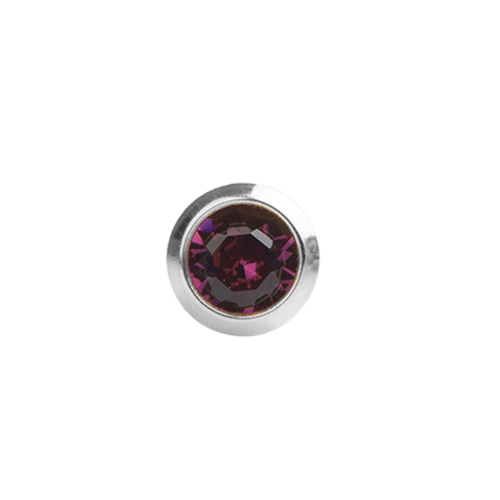 STUDEX Plus Stainless Steel Bezel – February Amethyst - Dozen Pack