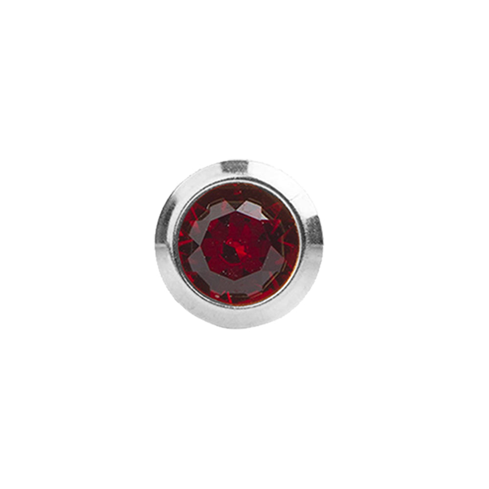 STUDEX Plus Stainless Steel Bezel – January Garnet - Dozen Pack